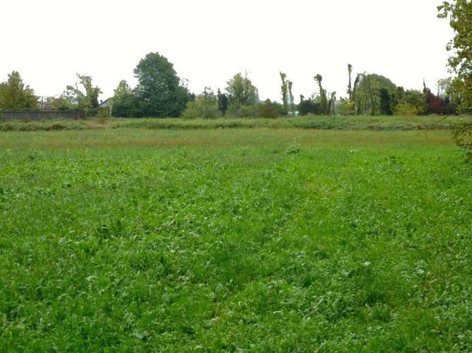 Terreno agricolo Grassobbio