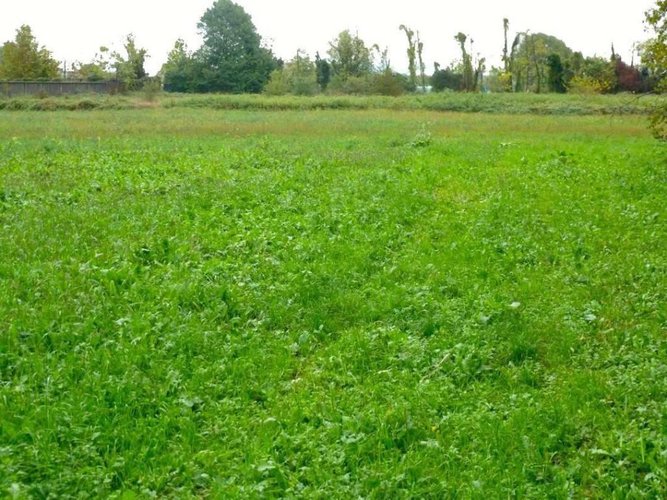 TERRENO AGRICOLO Grassobbio