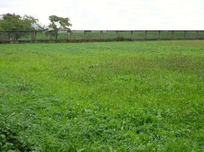 TERRENO AGRICOLO Grassobbio