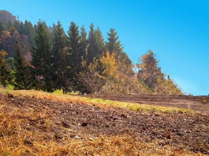 Terreno agricolo Berbenno