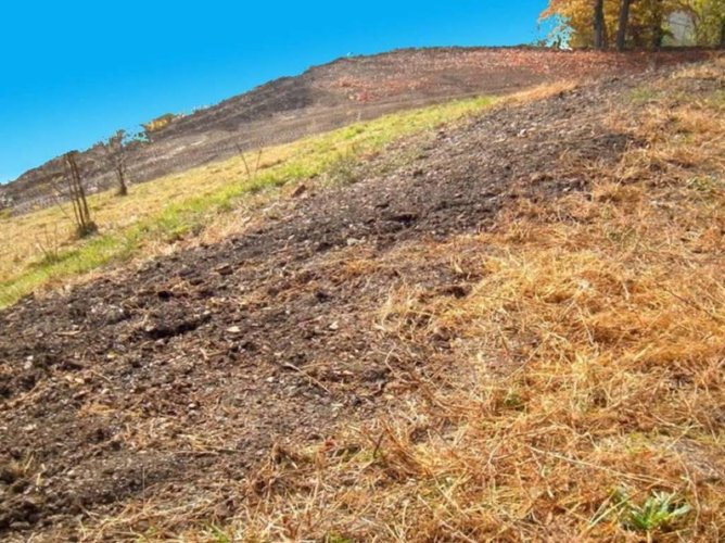 Terreno agricolo Berbenno
