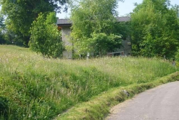 Completamente indipendente Brumano