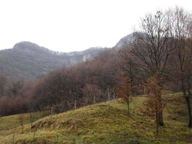 Trilocale Sant'Omobono Terme