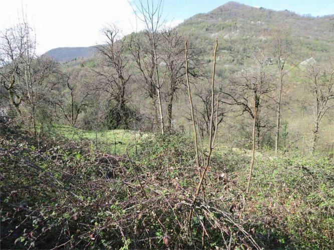 Rustico completamente da ristrutturare Berbenno