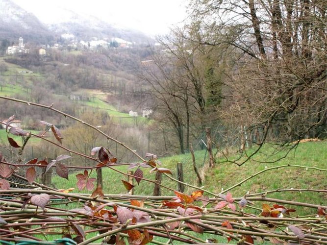 Bilocale Sant'Omobono Terme