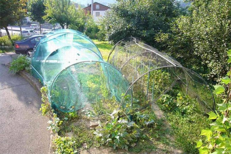 Stabile Sant'Omobono Terme