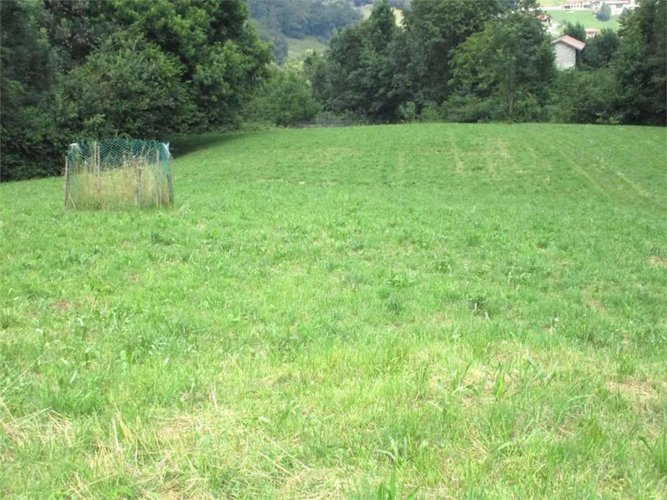 Terreno agricolo con rustico da ristrutturare Bedulita