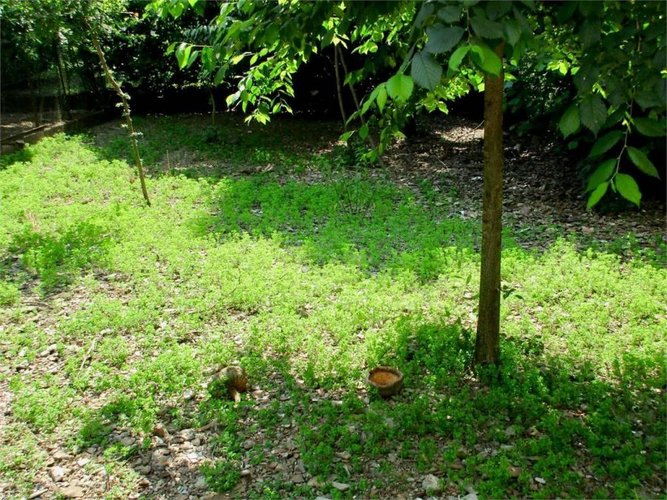 Casa indipendente Sant'Omobono Terme