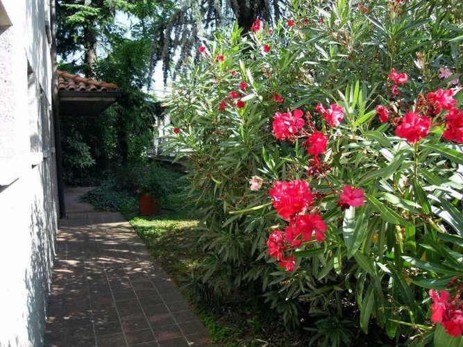 CASA SINGOLA - ideale per 2 famiglie Paladina