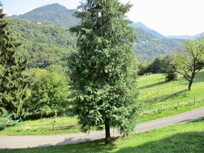 CASA SINGOLA con terreno di mq. 3000 Berbenno