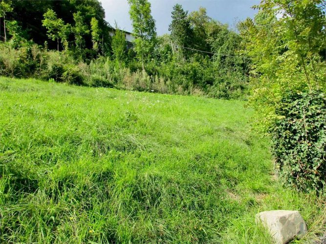 CASA SINGOLA con terreno di mq. 3000 Berbenno