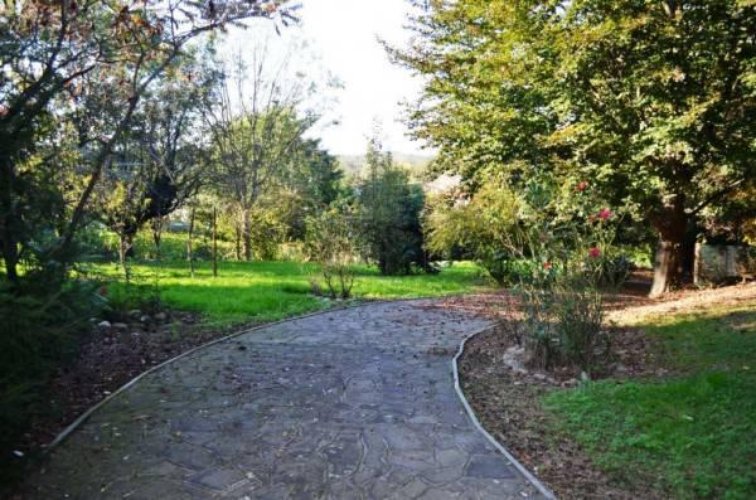 Divignano (NO) - Villa singola con parco Divignano