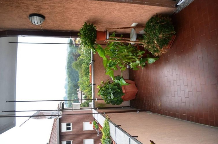 Castelletto S. Ticino - Appartamento trilocale Castelletto sopra Ticino