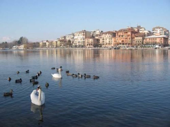 Castelletto S. Ticino (NO) - Terreno residenziale