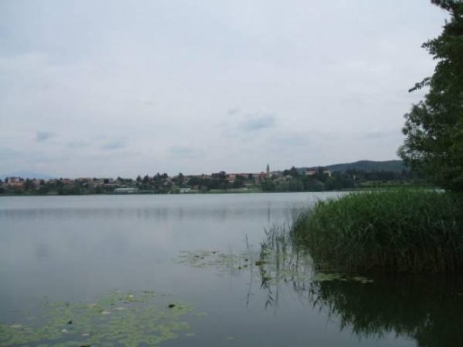 Terreno a destinazione produttiva/artigianale/commerciale Comabbio