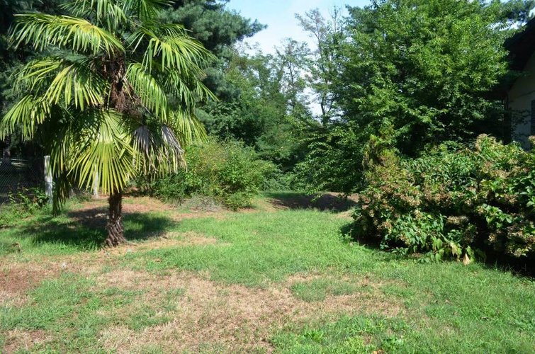 Castelletto S. Ticino (NO) - Villa singola con parco Castelletto sopra Ticino