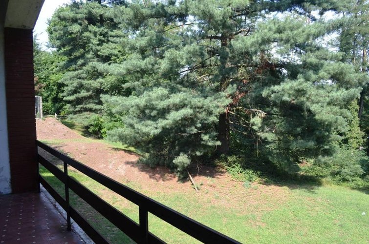 Castelletto S. Ticino (NO) - Villa singola con parco Castelletto sopra Ticino