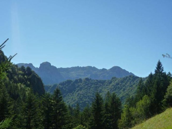 Bilocale Cusio