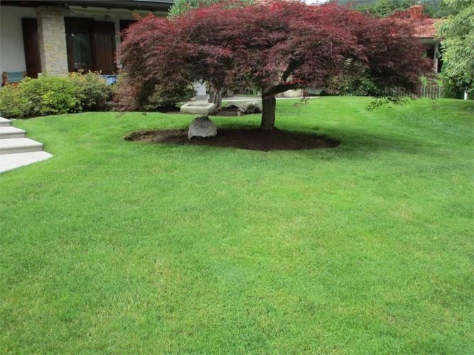 VILLA SINGOLA con ampio giardino privato Capizzone