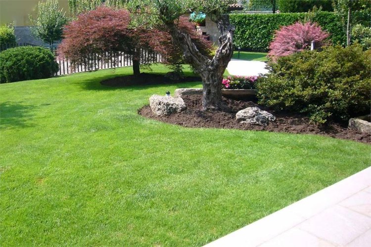 VILLA SINGOLA con ampio giardino privato Capizzone