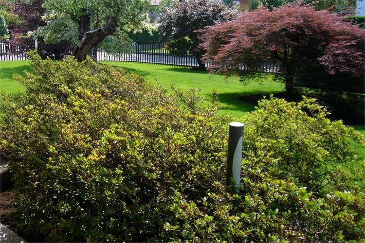 VILLA SINGOLA con ampio giardino privato Capizzone