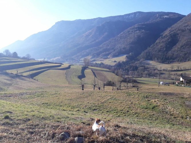 CERETE BASSO TERRENO EDIFICABILE Cerete