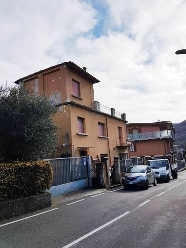 PORZIONE CIELO TERRA ALBINO Albino