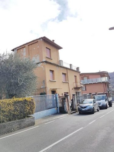 PORZIONE CIELO TERRA ALBINO Albino