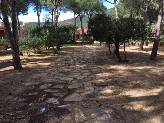 BUDONI RIVIERA DEI PINI Villa 50 metri dal mare 