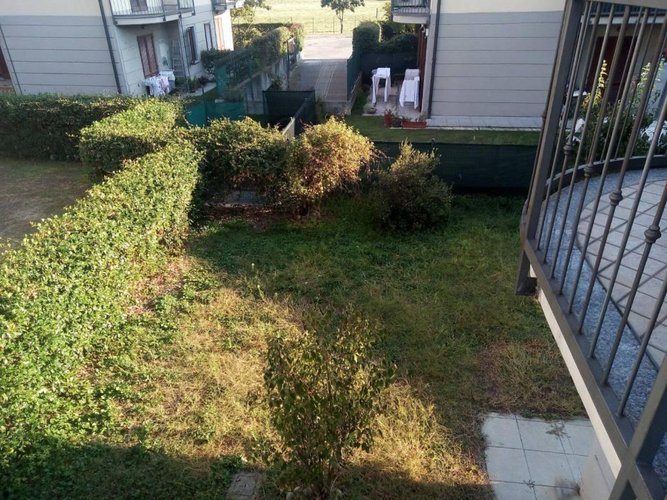 Grazioso bilocale con giardino Basiano