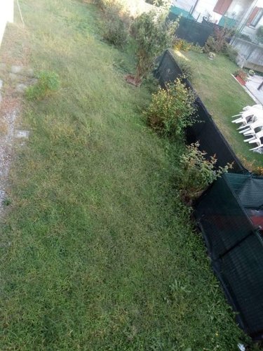 Grazioso bilocale con giardino Basiano