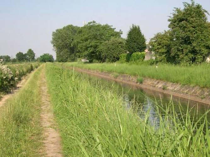 PRENOTIAMO VILLE SINGOLE BIFAMIGLIARI CON GIARDINO Cambiago