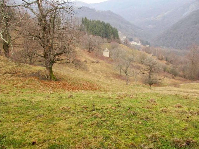 TERRENO AGRICOLO di 3 ettari più 1 ettaro di BOSCO Rota d'Imagna