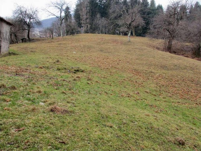 TERRENO AGRICOLO di 3 ettari più 1 ettaro di BOSCO Rota d'Imagna