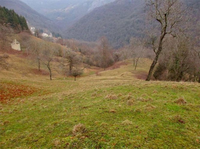 TERRENO AGRICOLO di 3 ettari più 1 ettaro di BOSCO Rota d'Imagna