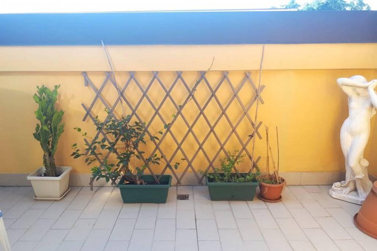 AMPIO BILOCALE ULTIMO PIANO Basiano