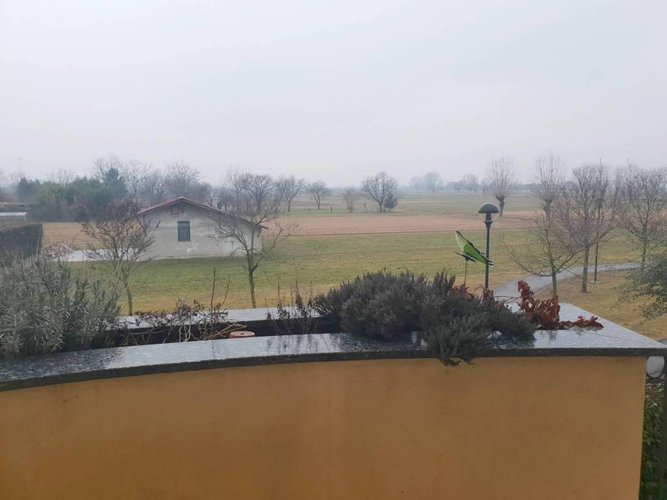 TRE LOCALI DUPLEX CON VISTA PANORAMICA Gessate