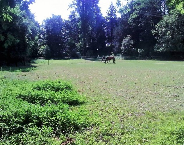 spazio commerciale in palazzina d'epoca. Olgiate Molgora