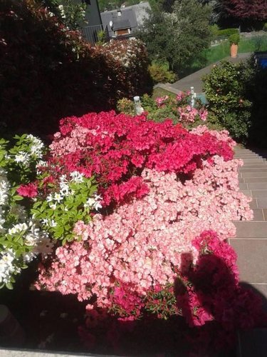 Prestigiosa villa fronte lago Oggiono