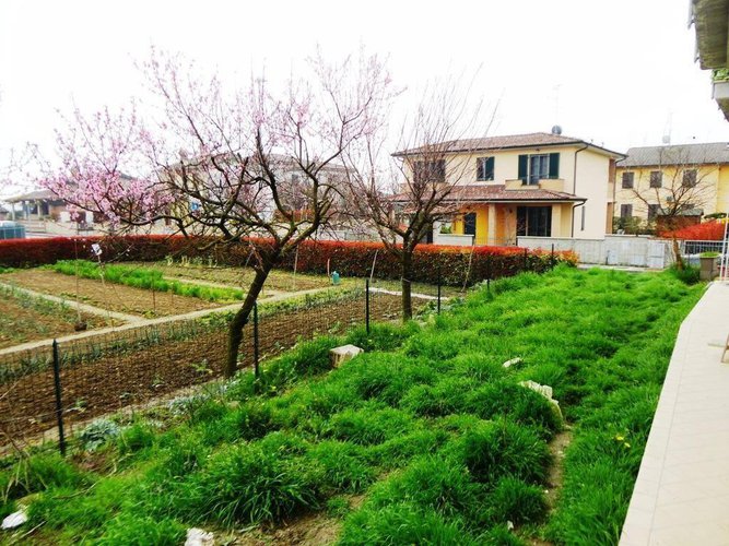 Trilocale Stagno lombardo