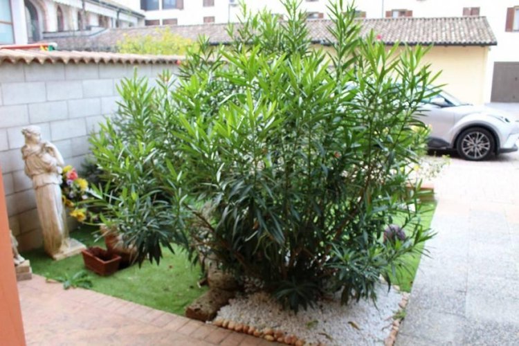 Quadrilocale Gacito-pieve delmona