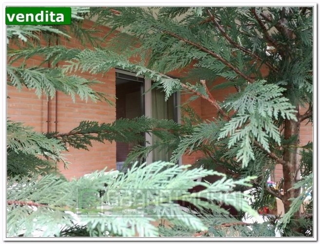 Residenziale di lusso Bilocale con giardino Bergamo