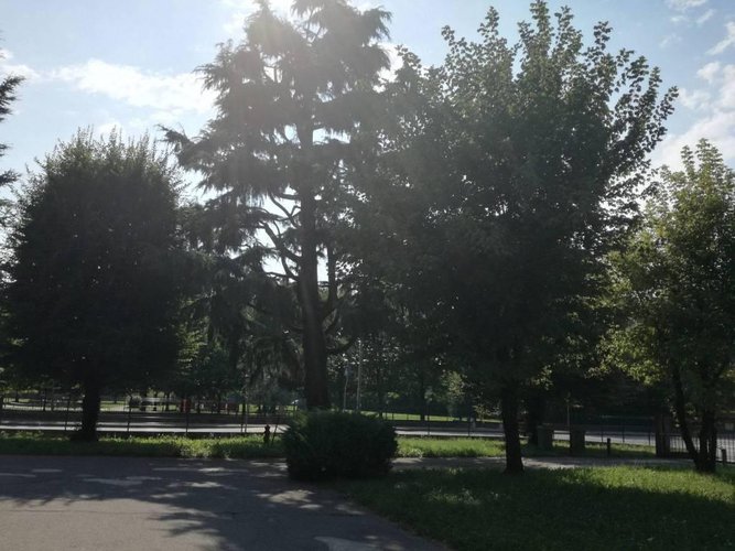 panoramico ultimo piano ampio trilocale cucina abitabile Dalmine