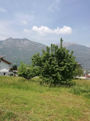 nuova villetta singola con giardino Pian camuno