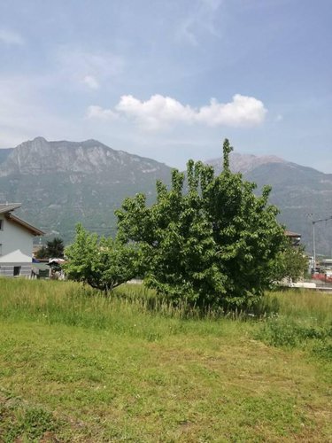 nuova villetta singola con giardino Pian camuno