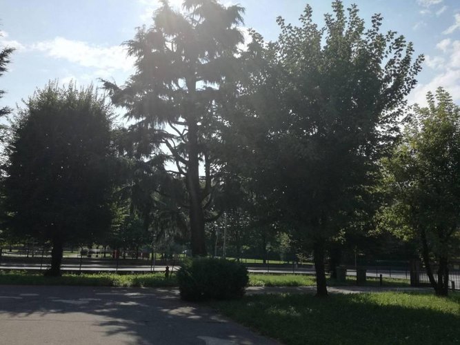 panoramico ultimo piano ampio trilocale cucina abitabile Dalmine