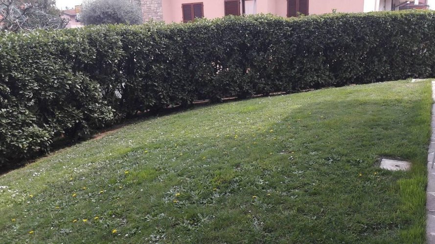 grande villetta bifamiliare Pedrengo