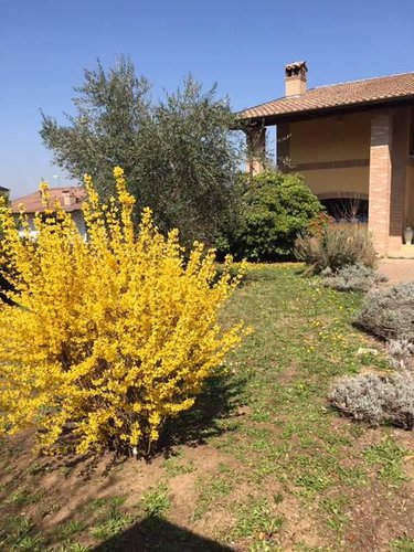 VILLA RETORBIDO POSIZIONE PANORAMICA DI RECENTE COSTRUZIONE