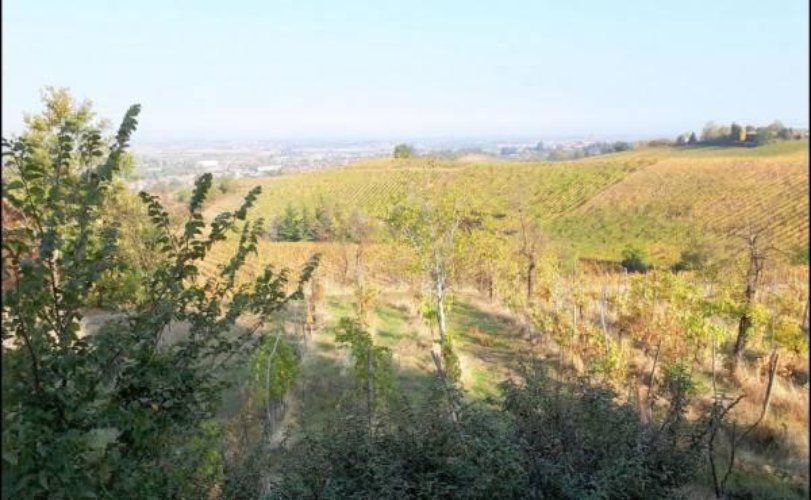 VILLETTA DA RISTRUTTURARE IN POSIZIONE COLLINARE MONTEBELLO Montebello della battaglia