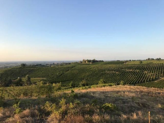 VILLETTA DA RISTRUTTURARE IN POSIZIONE COLLINARE MONTEBELLO Montebello della battaglia